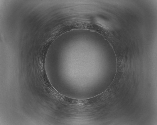 X0000080721013200612221221