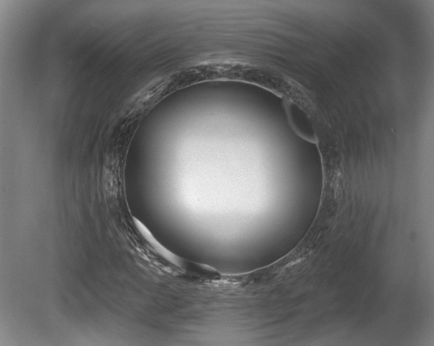 X0000080721014200612221221