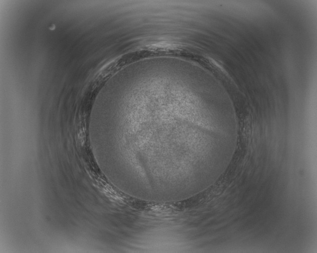 X0000080721015200612221221