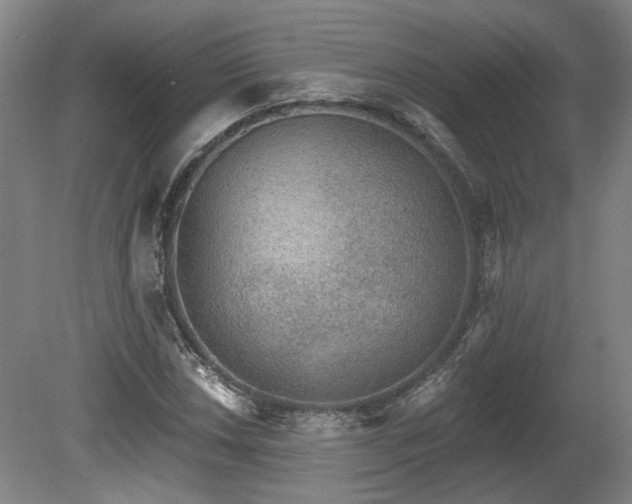 X0000080721018200612221221