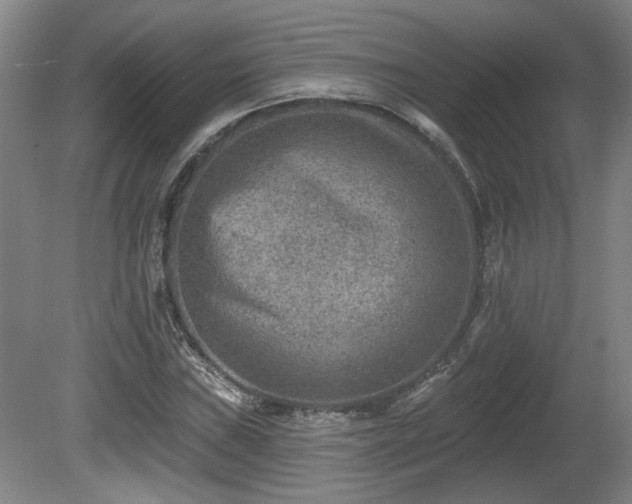 X0000080721019200612221221