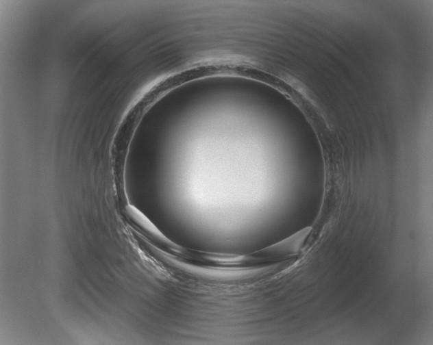 X0000080721022200612221221