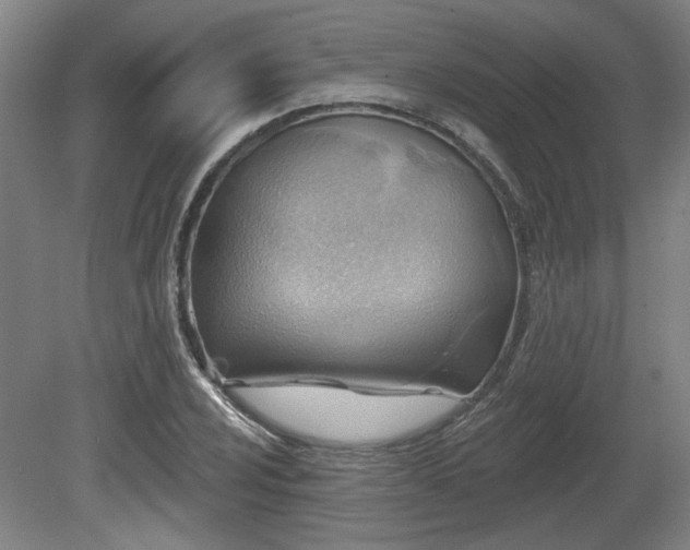 X0000080721024200612221222