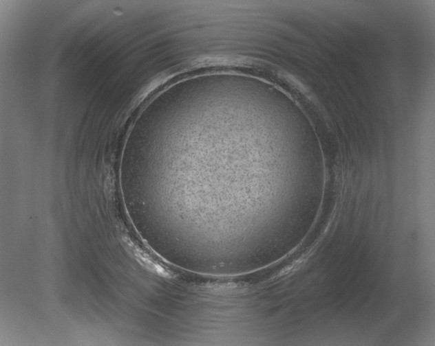 X0000080721025200612221222