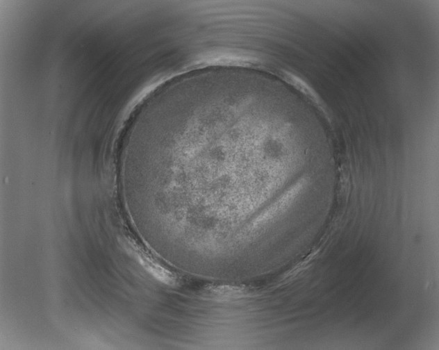 X0000080721027200612221222