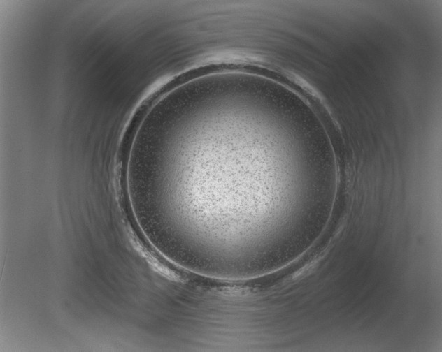 X0000080721029200612221222