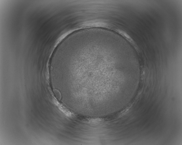 X0000080721031200612221222