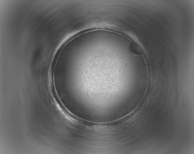 X0000080721032200612221222