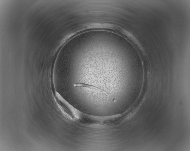 X0000080721033200612221222