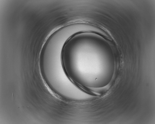 X0000080721034200612221222