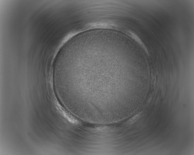 X0000080721035200612221222