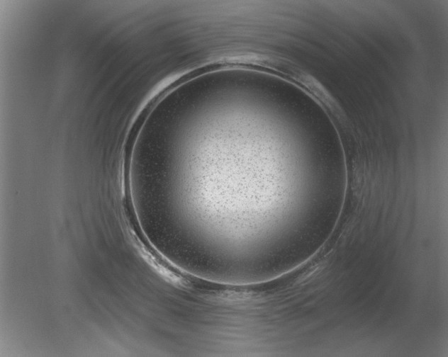 X0000080721036200612221222