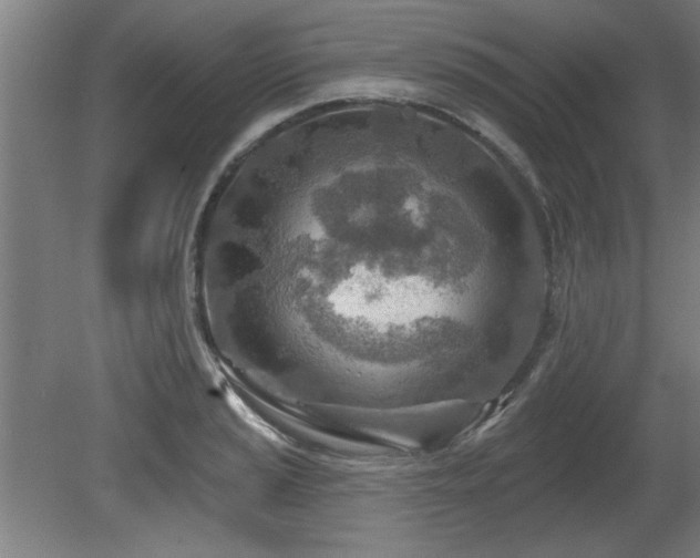 X0000080721037200612221222