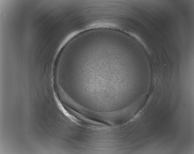 X0000080721038200612221222