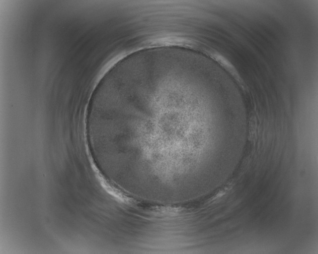 X0000080721039200612221222