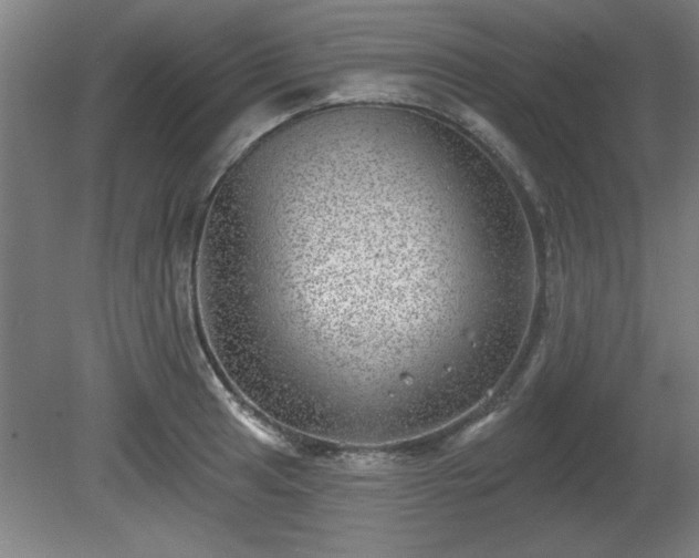 X0000080721041200612221222