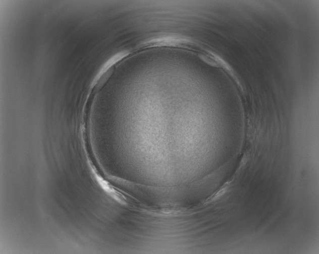 X0000080721042200612221222