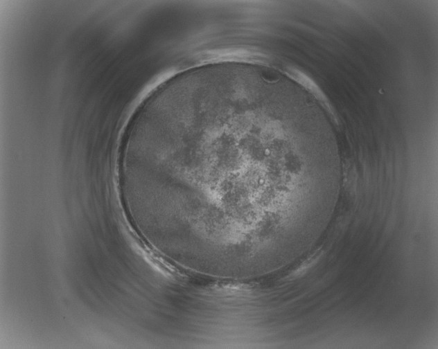 X0000080721043200612221222