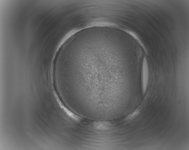 X0000080721046200612221222