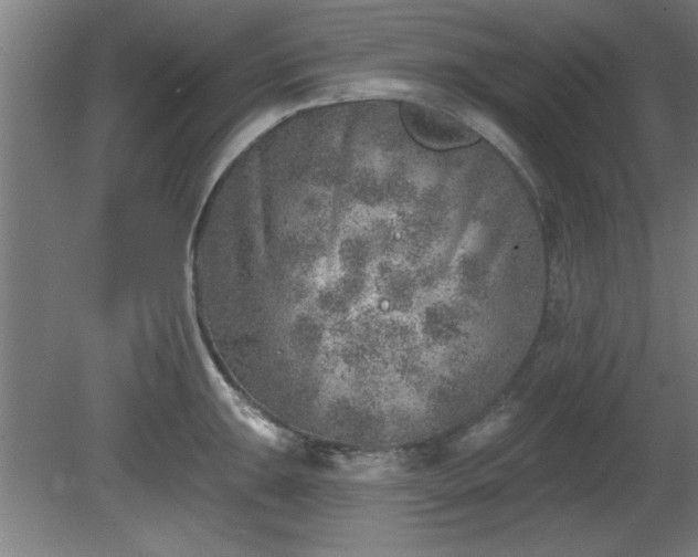 X0000080721047200612221222