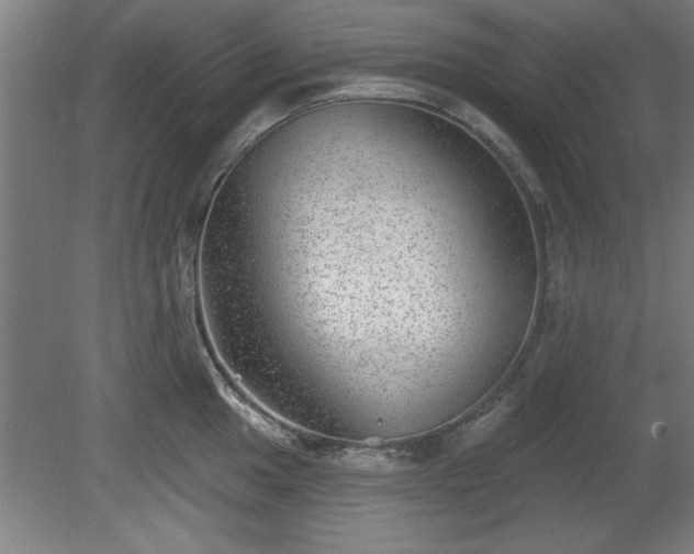 X0000080721049200612221222