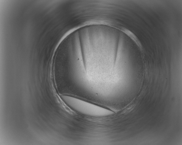 X0000080721052200612221222