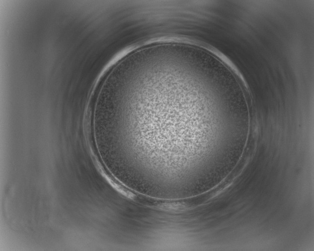 X0000080721053200612221222