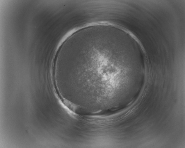 X0000080721054200612221222