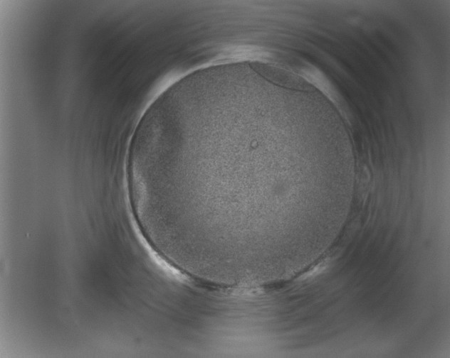 X0000080721055200612221222