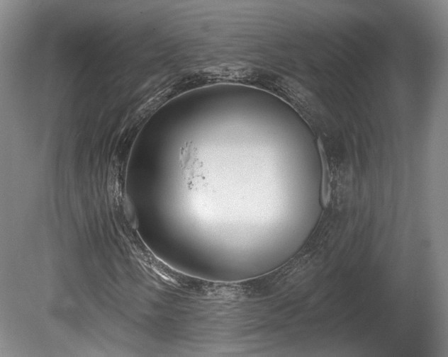 X0000080721058200612221221