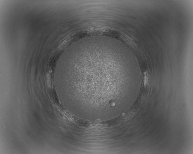 X0000080721059200612221221