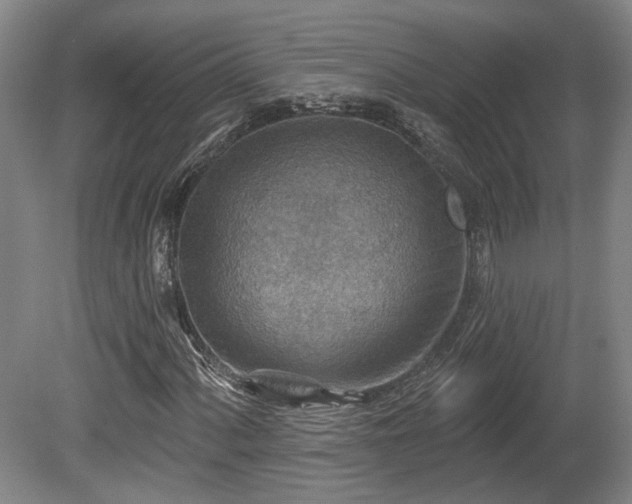 X0000080721060200612221221