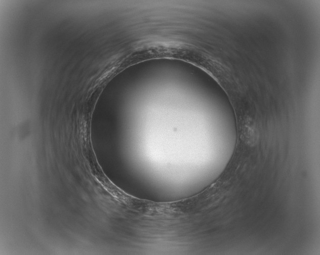 X0000080721061200612221221