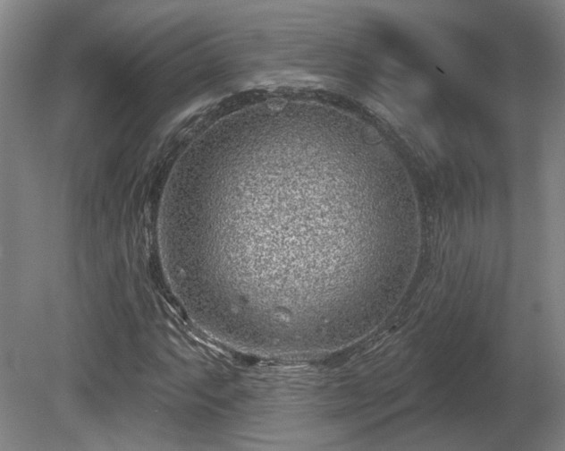 X0000080721063200612221221