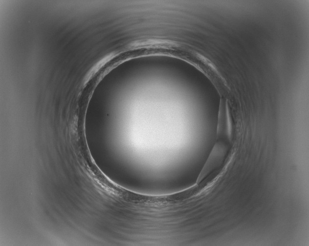 X0000080721066200612221221