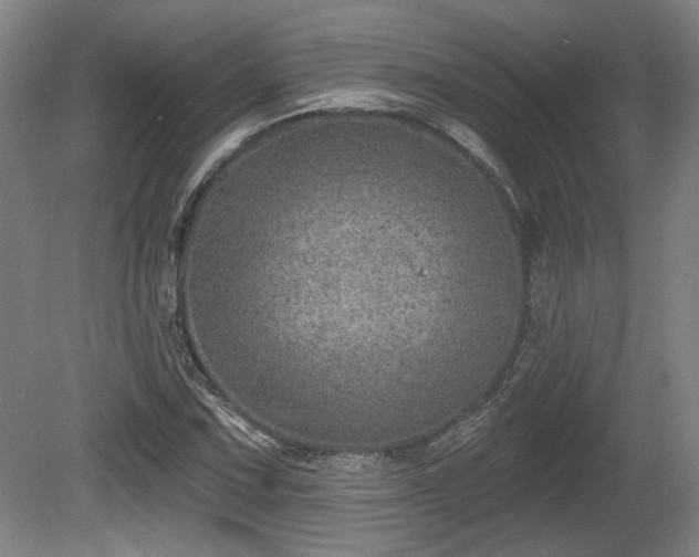 X0000080721067200612221221