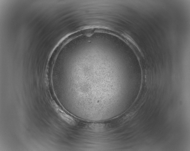 X0000080721068200612221221