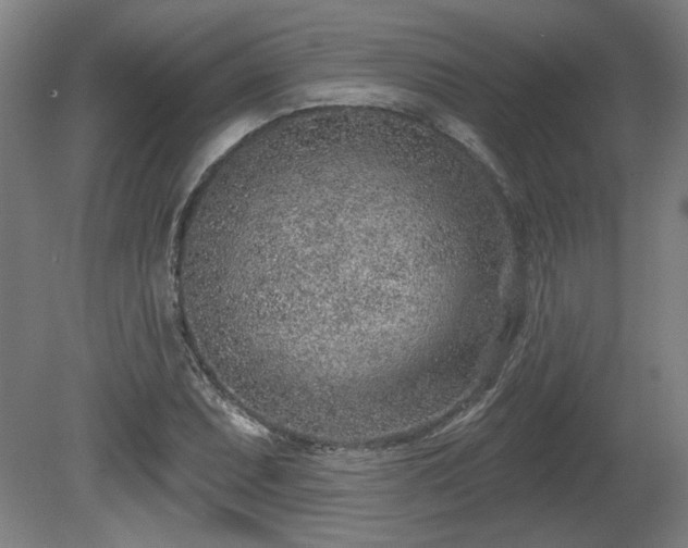 X0000080721071200612221221