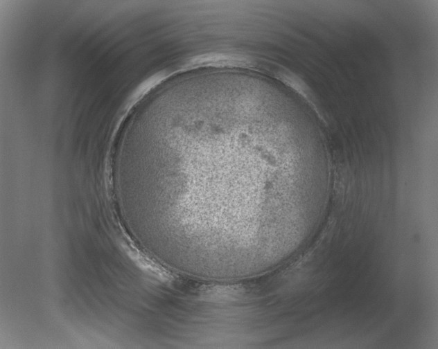 X0000080721074200612221221