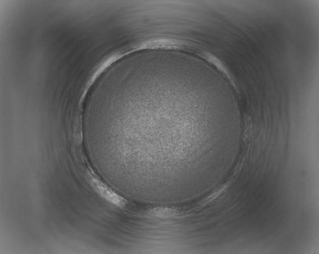 X0000080721075200612221221