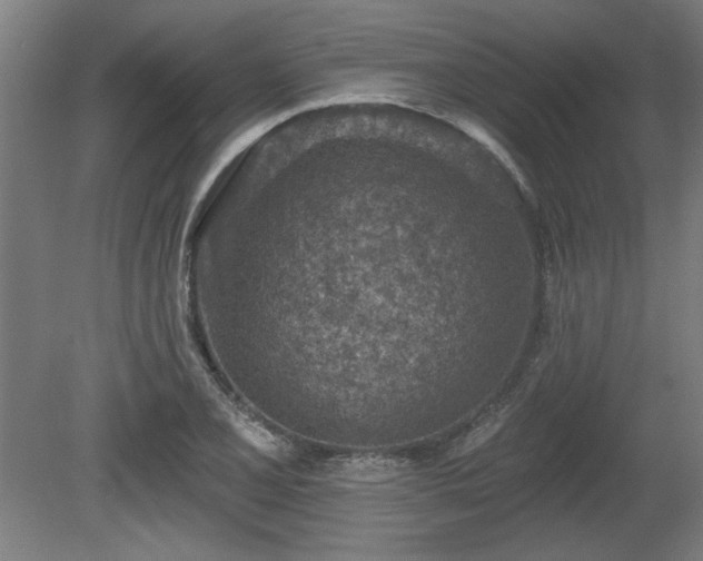 X0000080721077200612221221