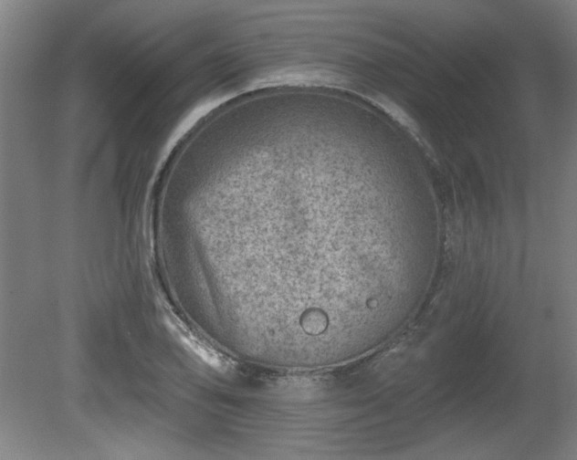 X0000080721078200612221221