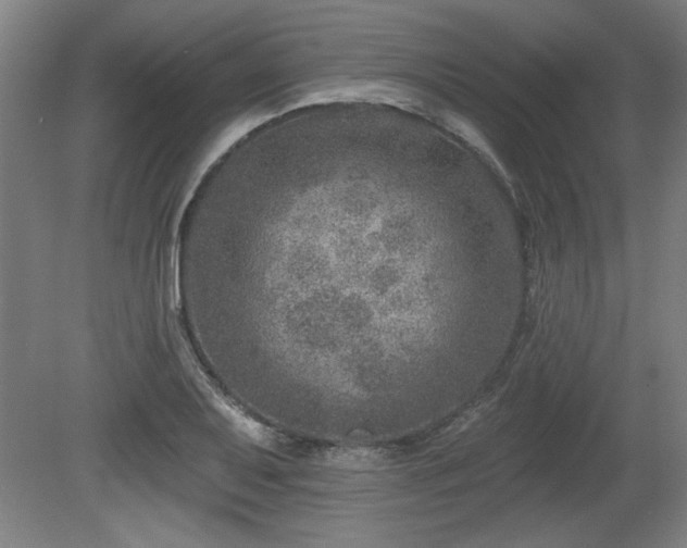 X0000080721079200612221221