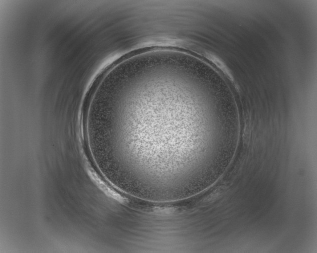 X0000080721080200612221221