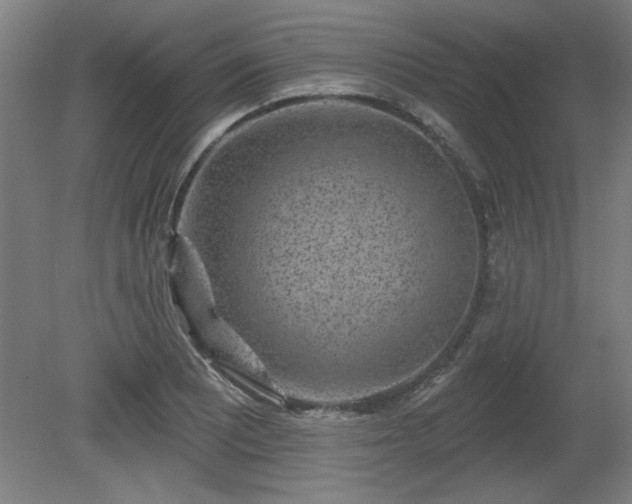 X0000080721081200612221221