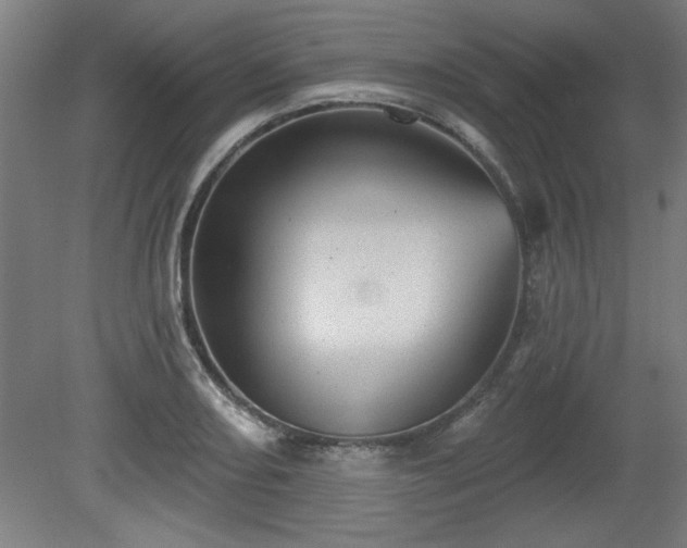 X0000080721082200612221221