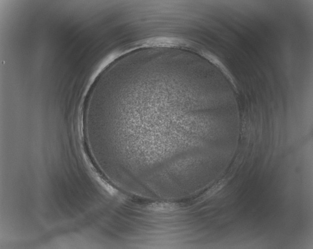 X0000080721083200612221221