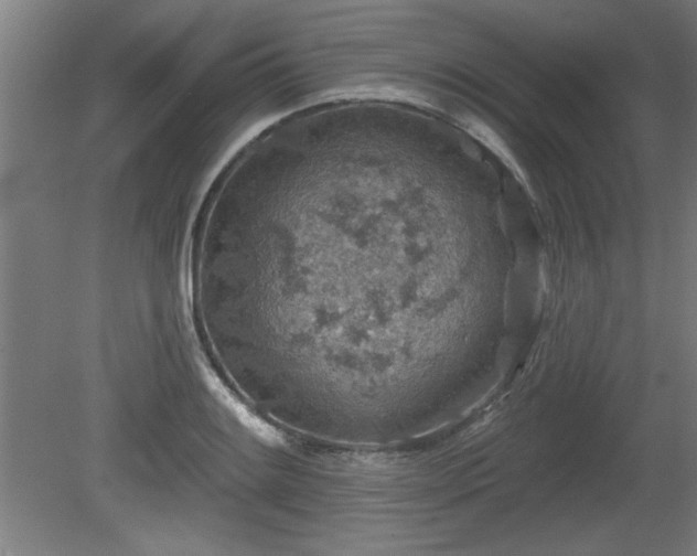 X0000080721084200612221221