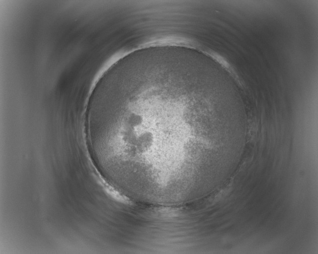 X0000080721086200612221221