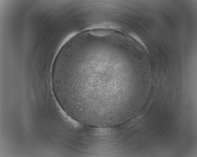 X0000080721087200612221221